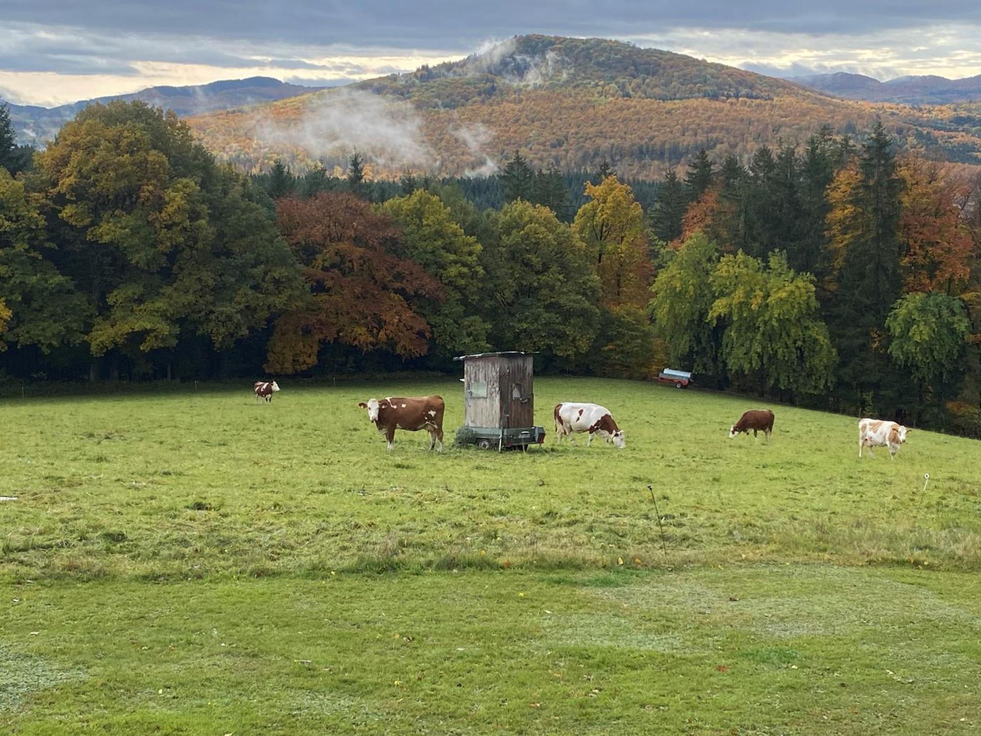 Landhaus Ingeborg Poppenhausen Kültér fotó